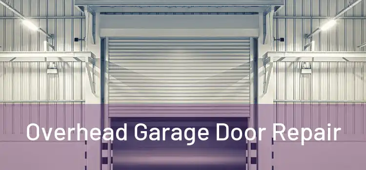  Overhead Garage Door Repair 